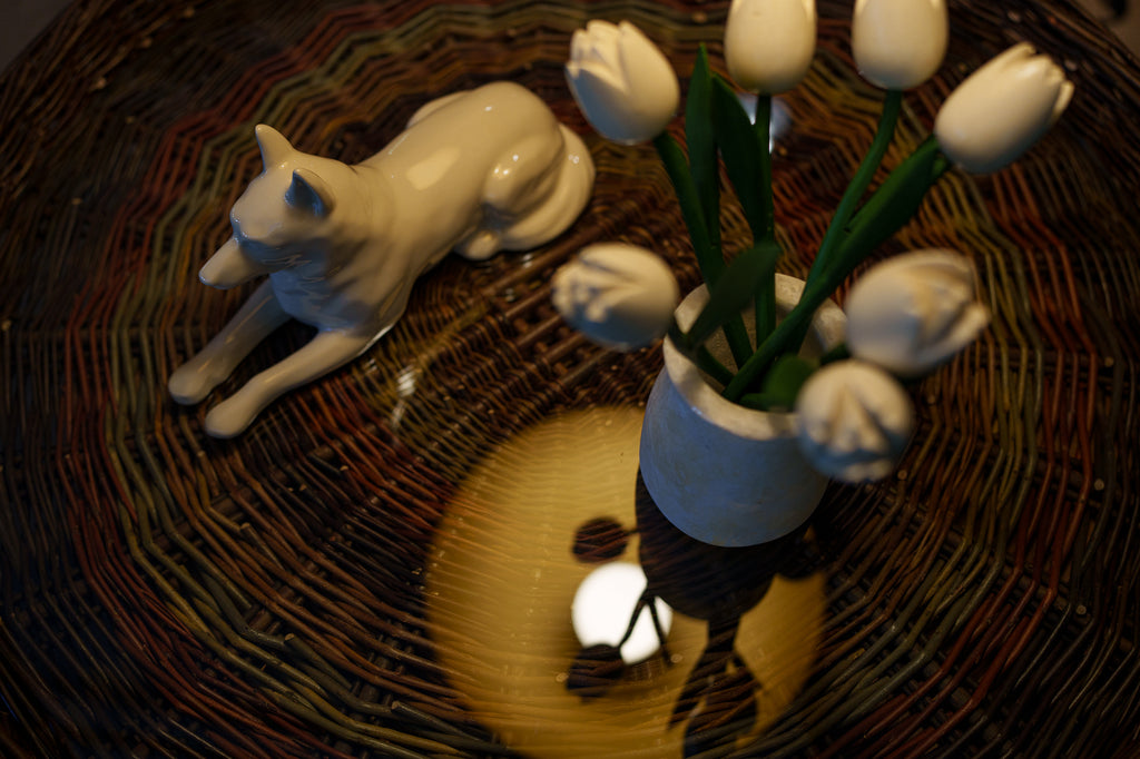 Urna per animali domestici Pastore Tedesco - Trasparente | Urna in ceramica