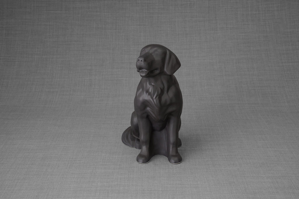 Urna per la cremazione di un Golden Retriever