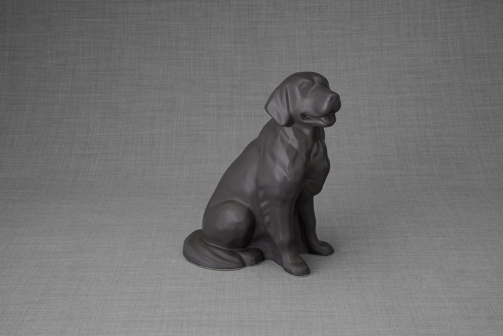 Urna per la cremazione di un Golden Retriever